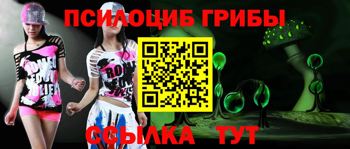 Галлюциногенные грибы мухоморы Вологда